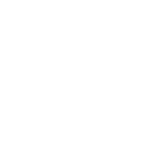 VIIX